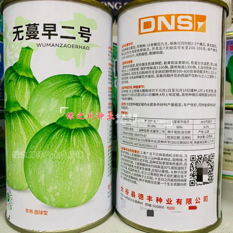 无蔓早二号南瓜种子脆嫩味甜无藤菜南瓜种子早熟圆球型南瓜