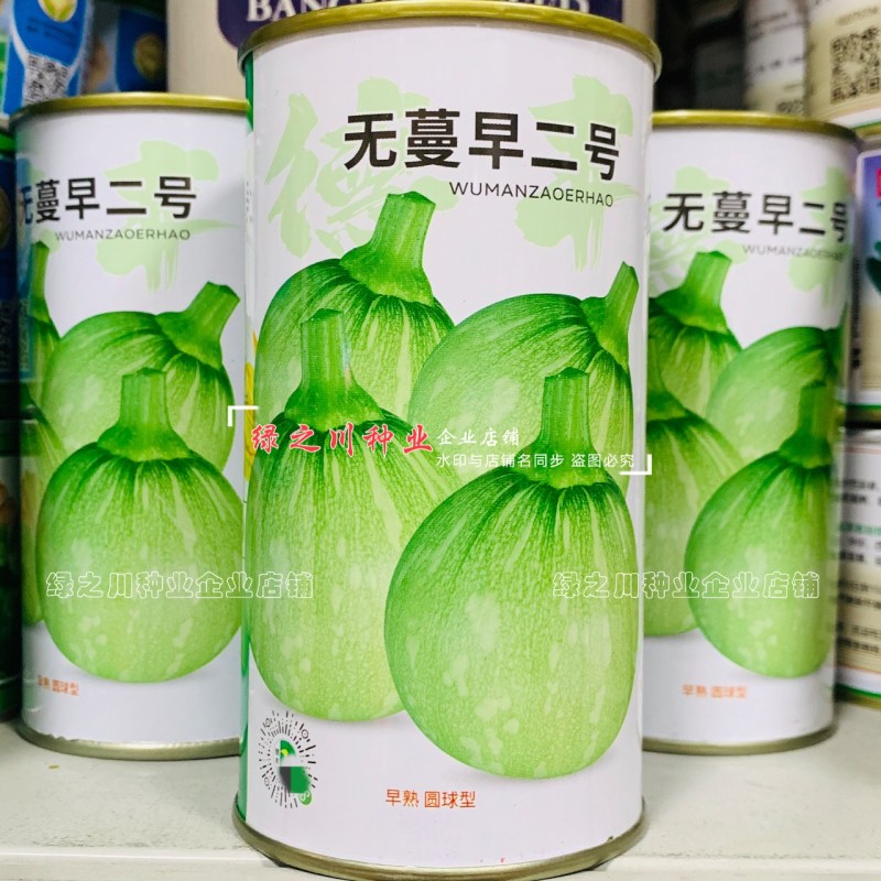 无蔓早二号南瓜种子脆嫩味甜无藤菜南瓜种子早熟圆球型南瓜
