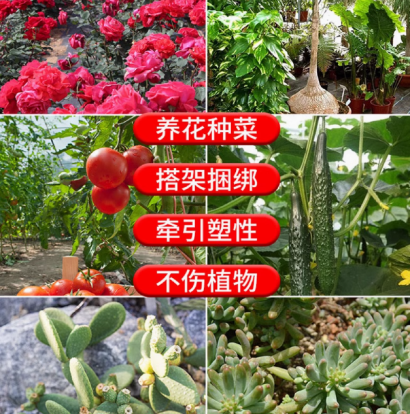 园艺扎带包塑扎线铁丝带剪爬藤固定绳捆扎带绑花支架神器包芯造型