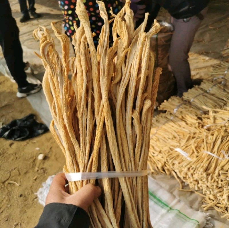 供应优质萝卜干，东北大根，白萝卜干，对接各种加工厂商超！