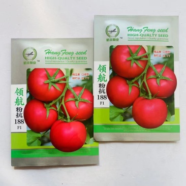 领航粉抗188番茄种子无限生长水果口味番茄种子硬度高西红