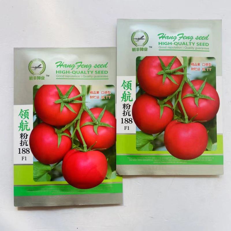 领航粉抗188番茄种子无限生长水果口味番茄种子硬度高西红