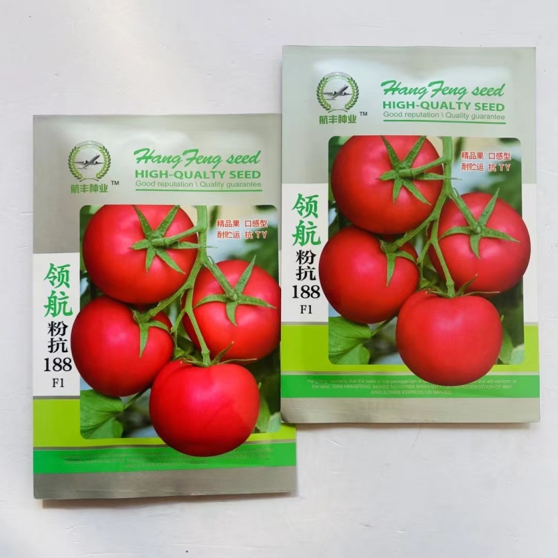 领航粉抗188番茄种子无限生长水果口味番茄种子硬度高西红