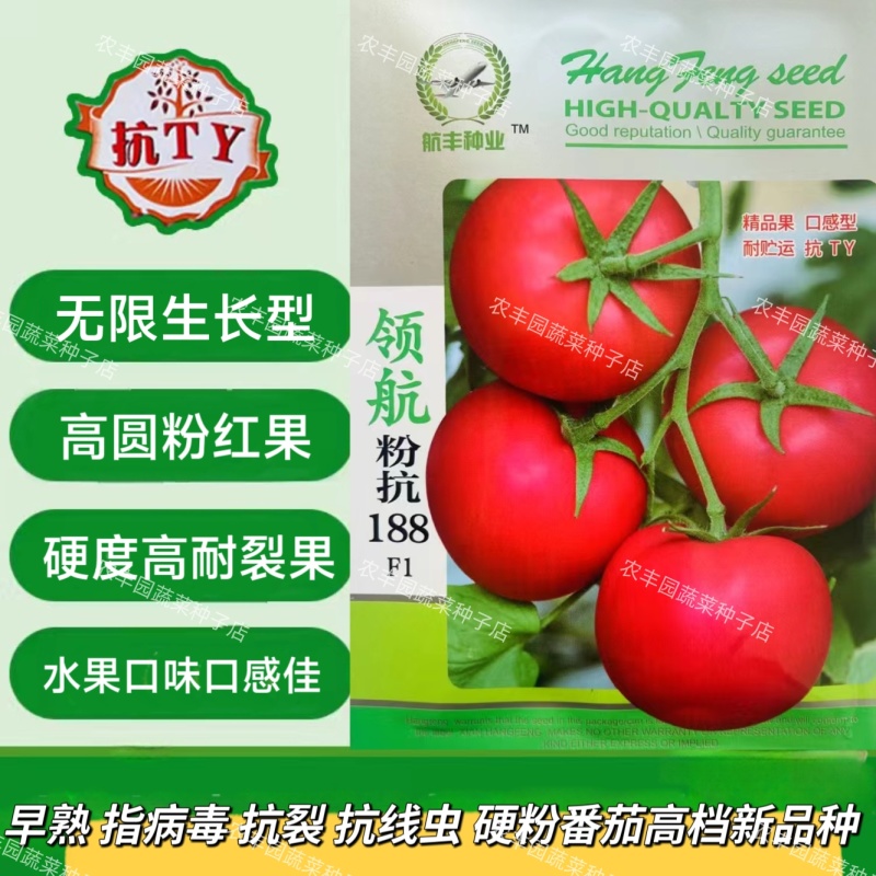 领航粉抗188番茄种子无限生长水果口味番茄种子硬度高西红