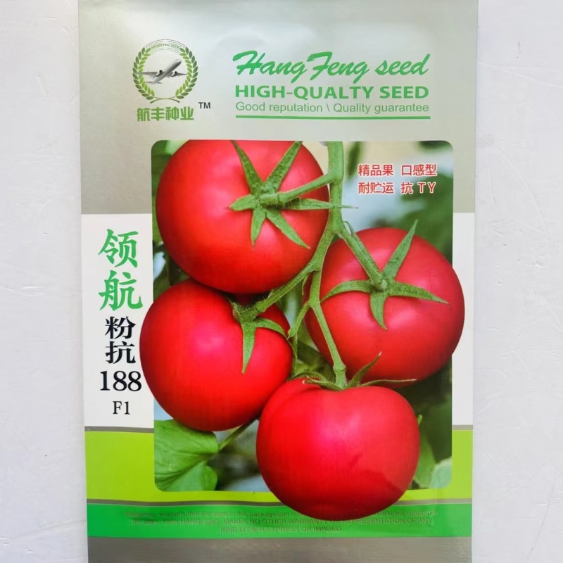 领航粉抗188番茄种子无限生长水果口味番茄种子硬度高西红