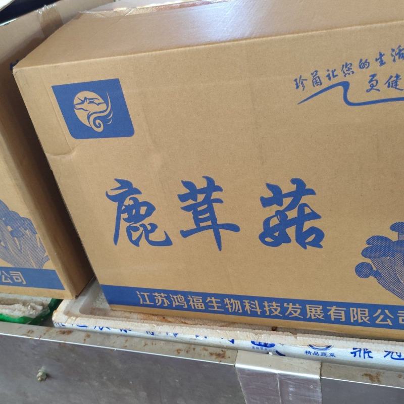 鹿茸菇直供，一手货源！10斤一件起发！！！！