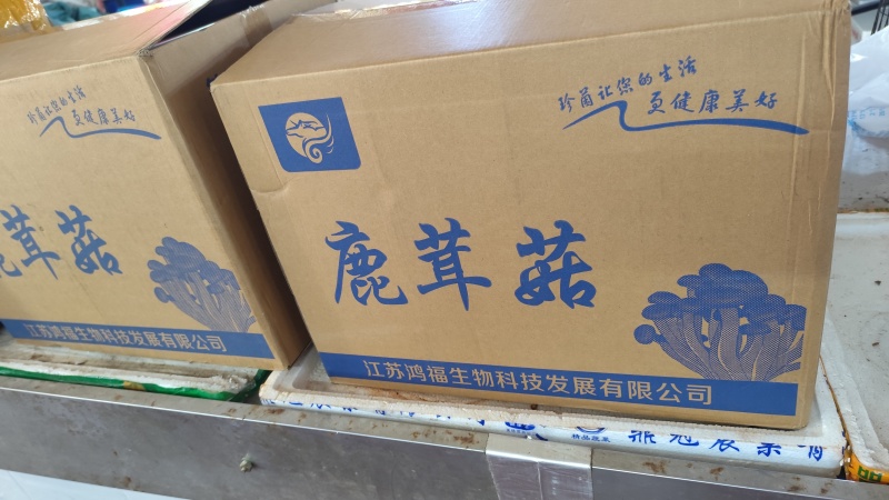 鹿茸菇直供，一手货源！10斤一件起发！！！！
