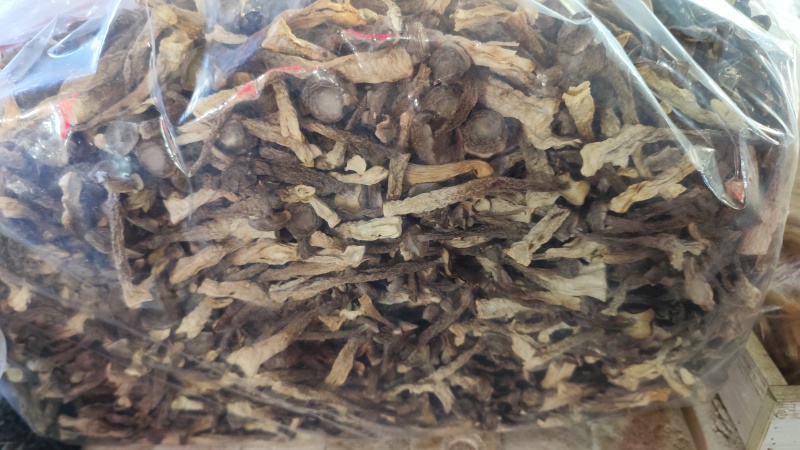 鹿茸菇直供，一手货源！10斤一件起发！！！！