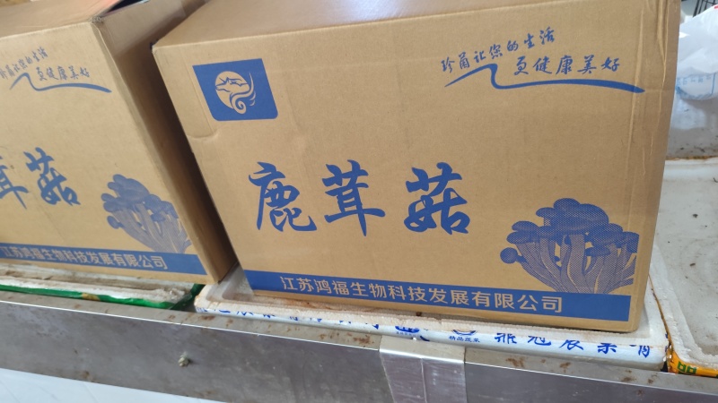 鹿茸菇直供，一手货源！10斤一件起发！！！！