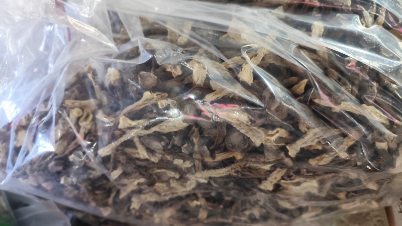 鹿茸菇直供，一手货源！10斤一件起发！！！！