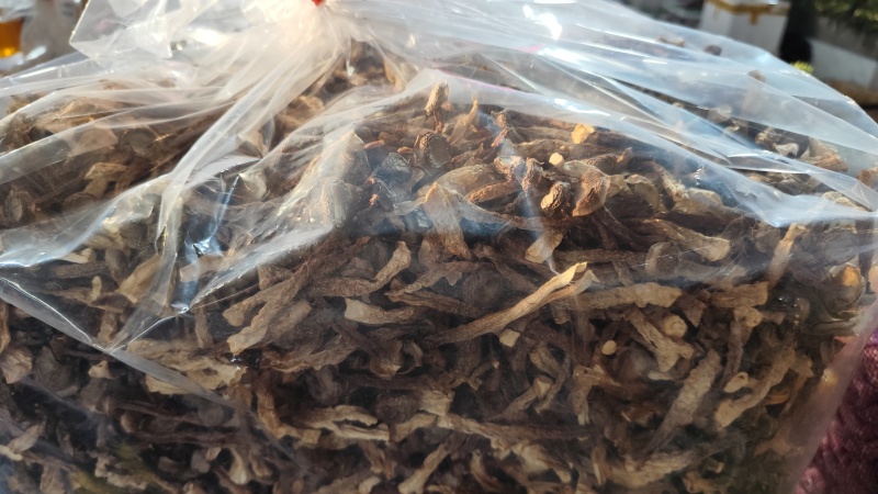 鹿茸菇直供，一手货源！10斤一件起发！！！！