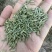 精品小茴香，孜然大量有货