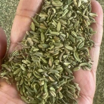 小茴香！大量现货