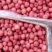 山楂