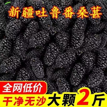 【超特级】正宗新疆黑桑葚干袋装正品黑桑椹干桑椹果