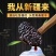 【超特级】正宗新疆黑桑葚干袋装正品黑桑椹干桑椹果