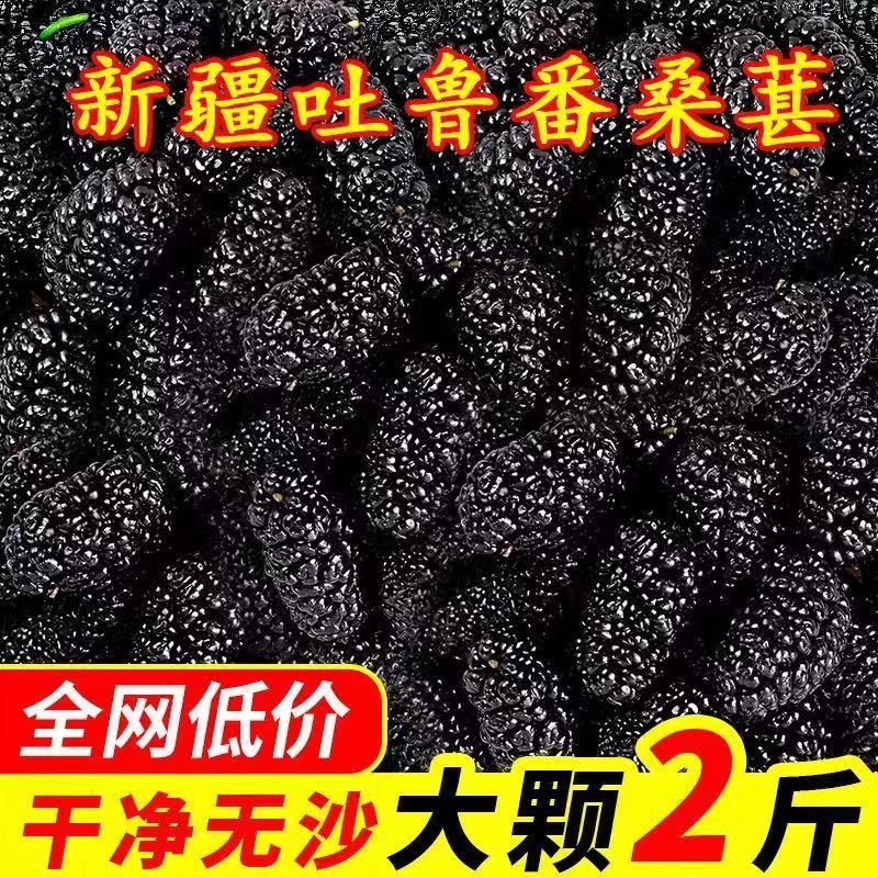 【超特级】正宗新疆黑桑葚干袋装正品黑桑椹干桑椹果