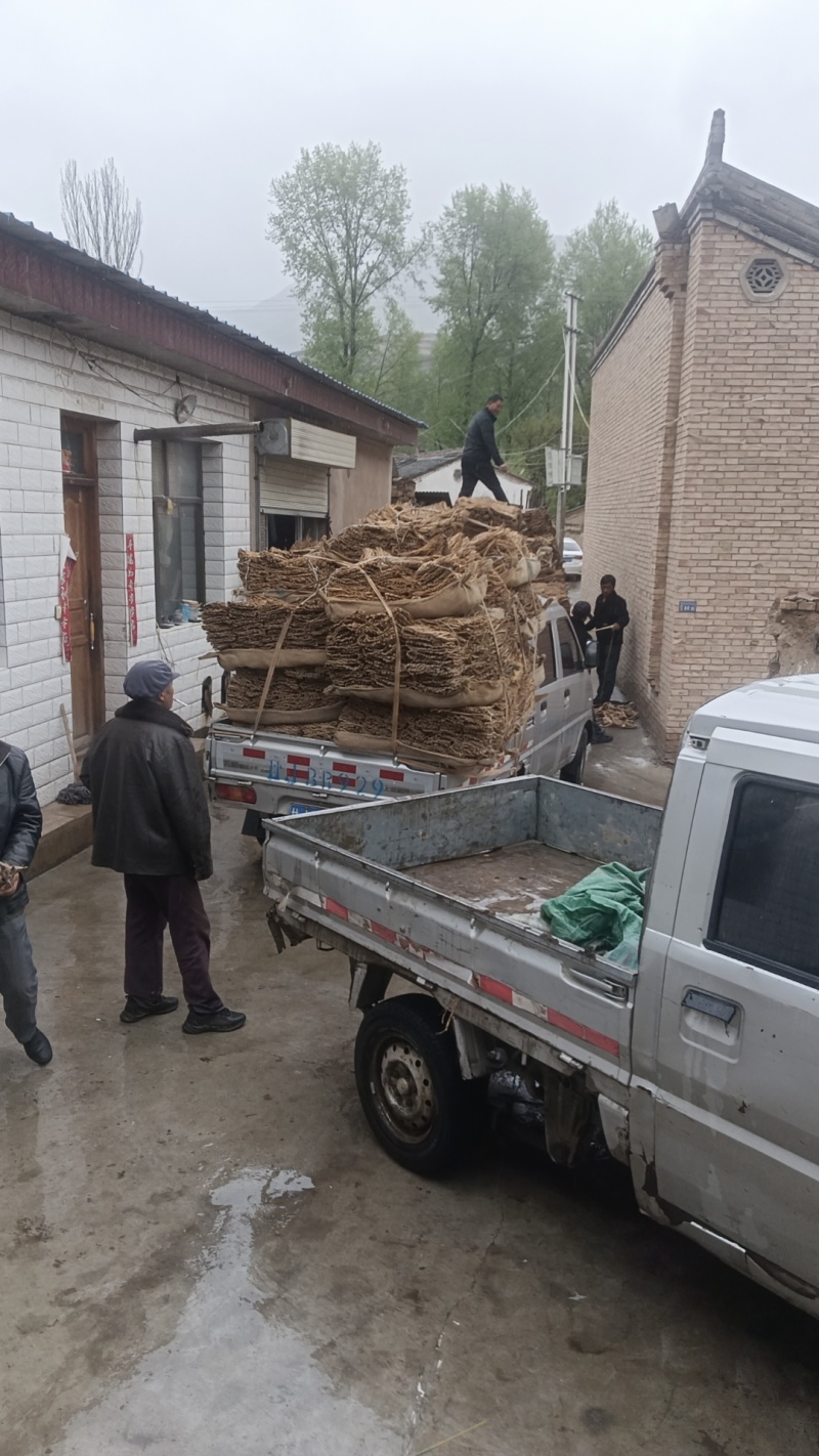 自种自加工，无硫，无无任何添加剂的党参。