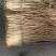 自种自加工，无硫，无无任何添加剂的党参。