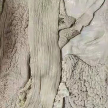 牛大肠