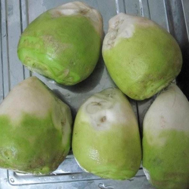 芥菜头大量供应，需要的老板联系