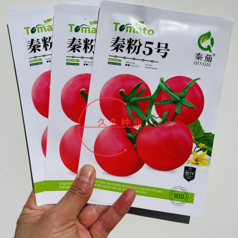 秦粉5号番茄种子中早熟无限生长西红柿种籽抗TY高产