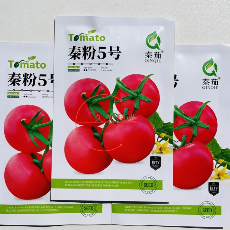 秦粉5号番茄种子中早熟无限生长西红柿种籽抗TY高产