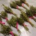 毛慈菇荚果，云南原产地