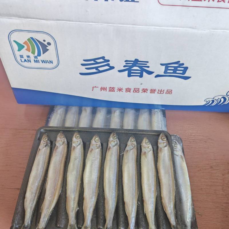托盘多春鱼满籽多春母20盘一箱烧烤寿司食材