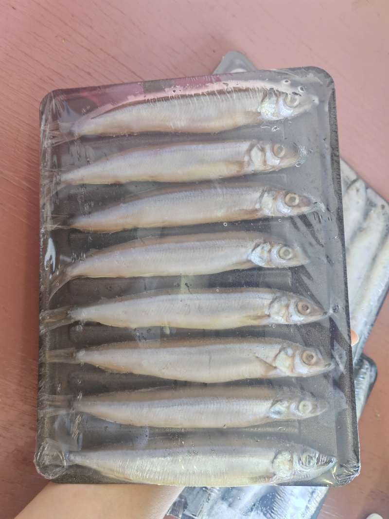 托盘多春鱼满籽多春母20盘一箱烧烤寿司食材