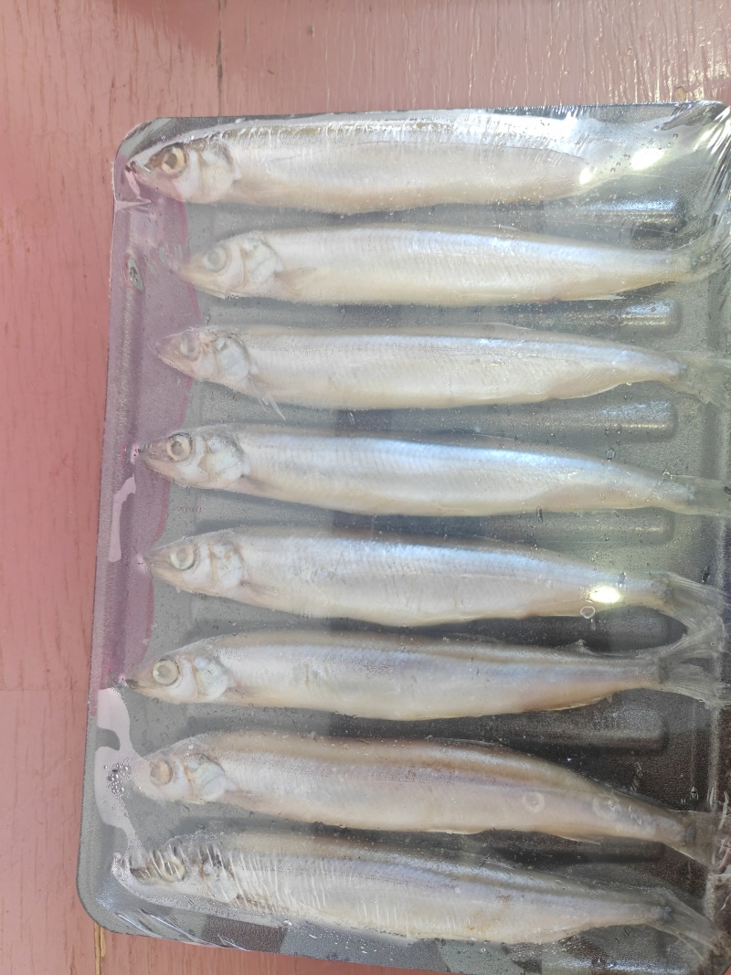 托盘多春鱼满籽多春母20盘一箱烧烤寿司食材