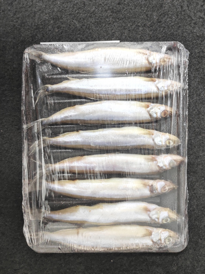 托盘多春鱼满籽多春母20盘一箱烧烤寿司食材
