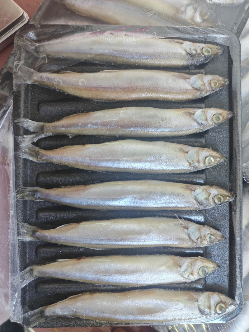 托盘多春鱼满籽多春母20盘一箱烧烤寿司食材