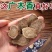 包邮）广木香中药材500克/250木香中药香料山木香