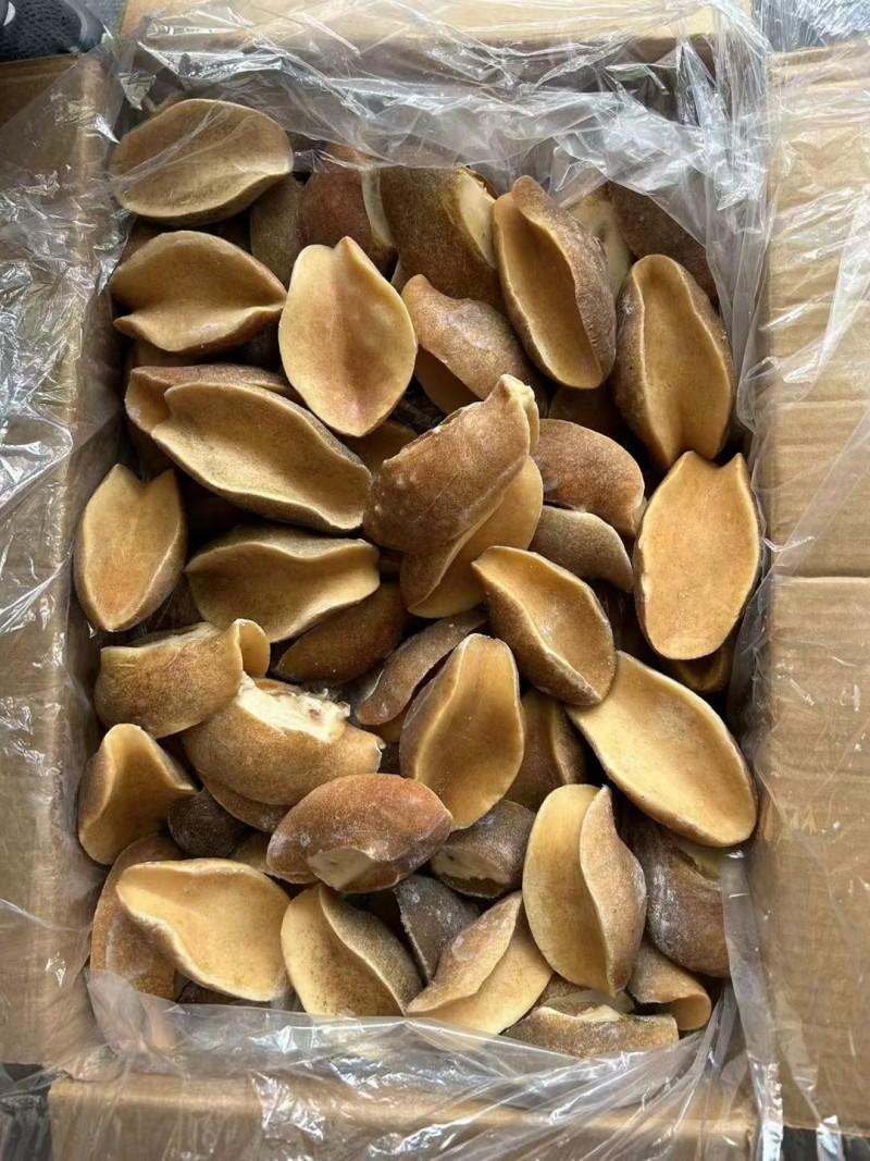 黄金鲍螺头鲍螺肉熟冻鲍螺海螺肉螺头