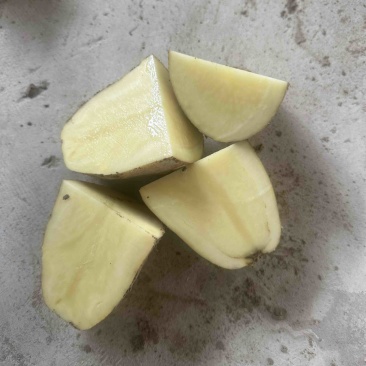 甘肃大黄心土豆
