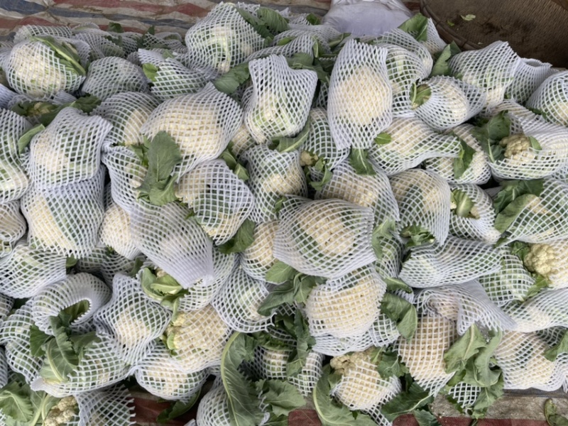 菜花，精品菜花，花菜，散花花菜，批发菜花，产地直发