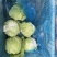扁包菜，批发包菜，甘蓝，批发甘蓝，河南开封通许产地