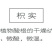 包邮）枳实中药材正宗江西枳实白术茶枳实粉炒枳实积实
