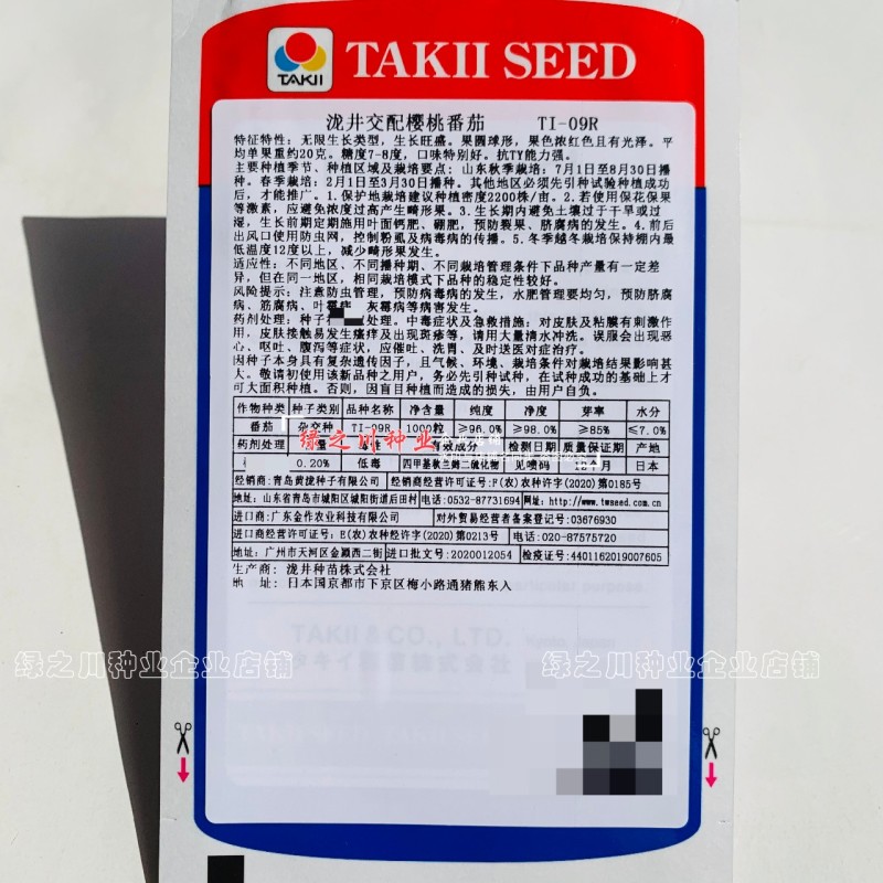 泷井日本进口樱桃番茄种子红色高糖抗ty桃太郎水果番茄种子