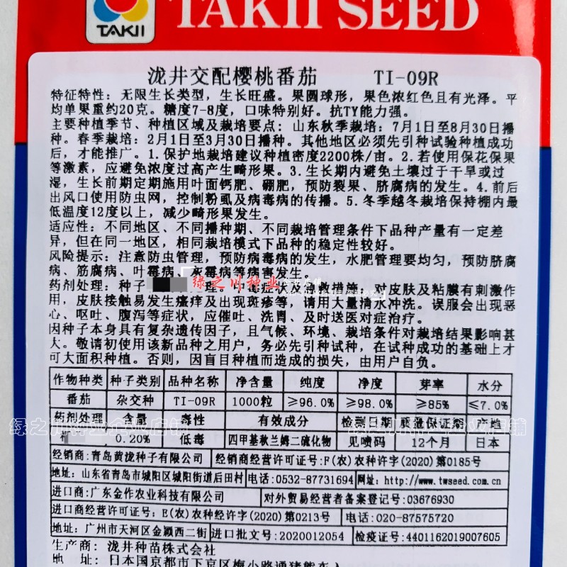 泷井日本进口樱桃番茄种子红色高糖抗ty桃太郎水果番茄种子