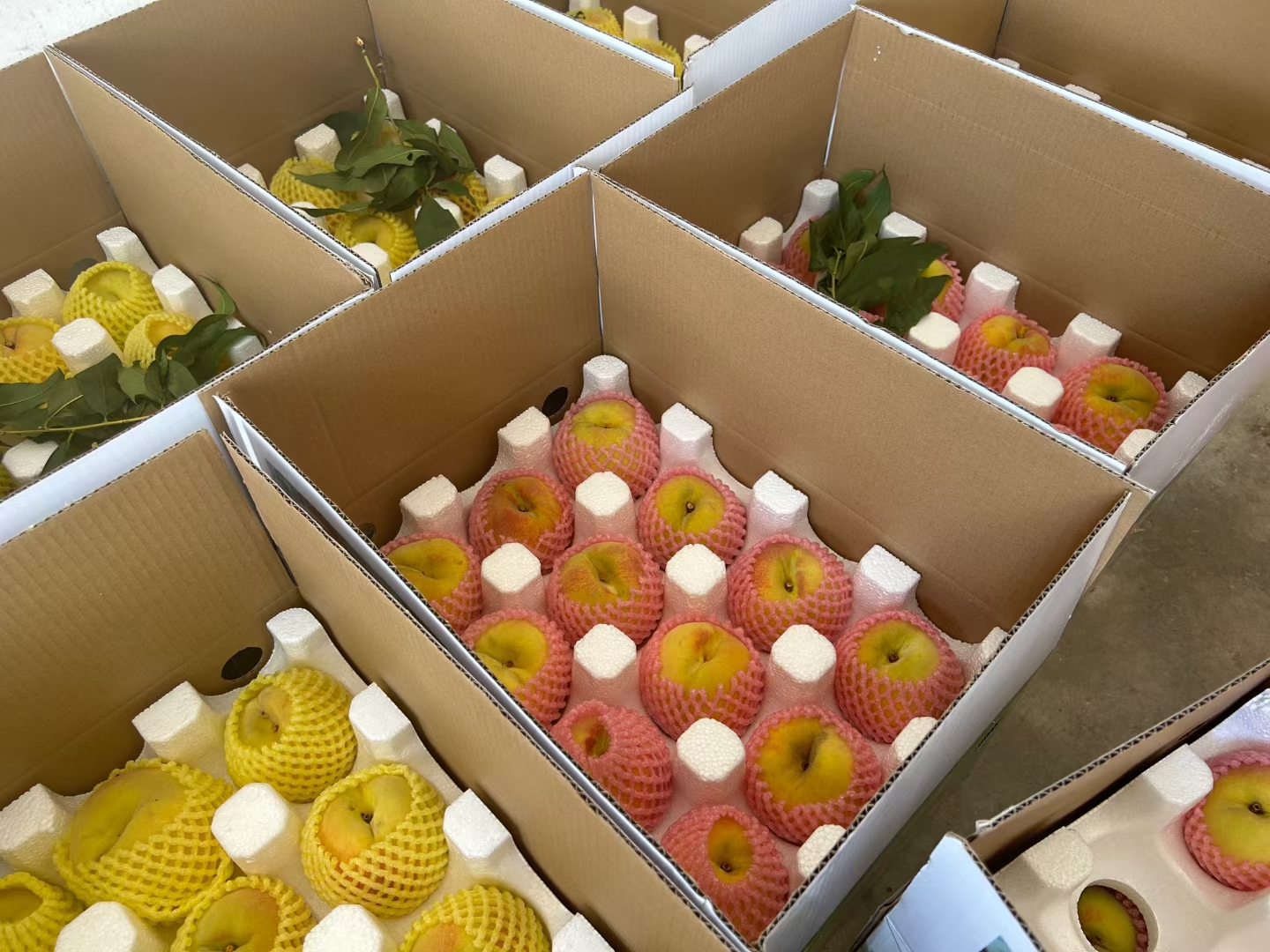 锦香黄桃礼盒包装展示