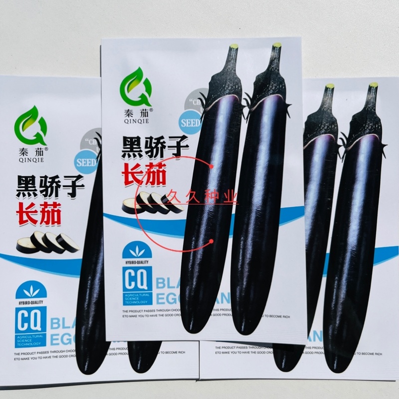 黑娇子长茄子种蔬菜种子早熟高产春季秋冬四季茄子籽顺直