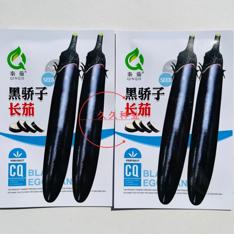 黑娇子长茄子种蔬菜种子早熟高产春季秋冬四季茄子籽顺直
