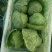 山西省蔬菜基地，精品甘蓝，大量上市。要的老板联系！