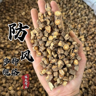 防风防风过筛保庆药业批发防风实物拍摄新货防风