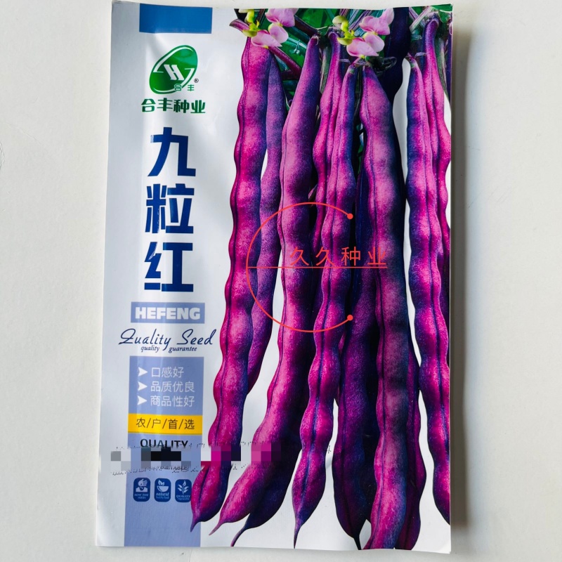 九粒红架豆种子紫红四季豆种子豆角芸豆架豆爬藤春秋季蔬菜