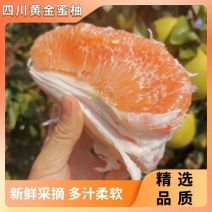 四川乐山黄金密柚大量有货，对接全国市场