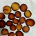 鹿茸全腊片