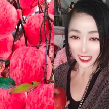 【膜袋红富士苹果上市】脆甜多汁！对接电商！库存！6毛起步